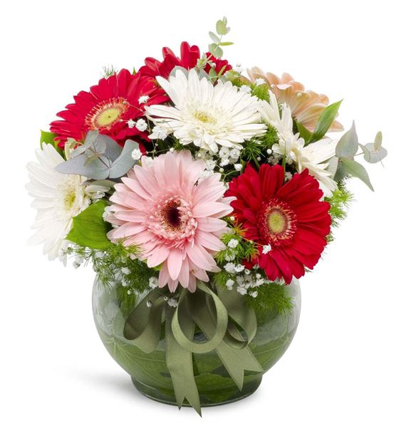 Cam Fanusta Gerbera Aranjmanı