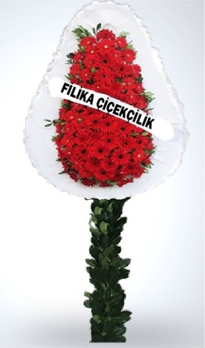 ÇELENK CANLI KIRMIZI GERBERA